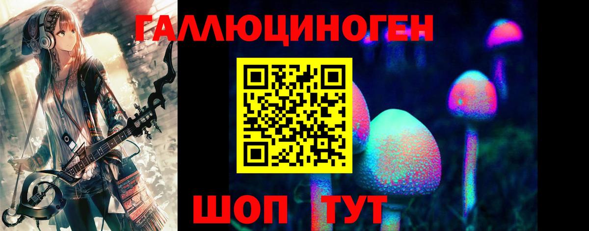 Галлюциногенные грибы GOLDEN TEACHER  Вход с VPN  Камышин 